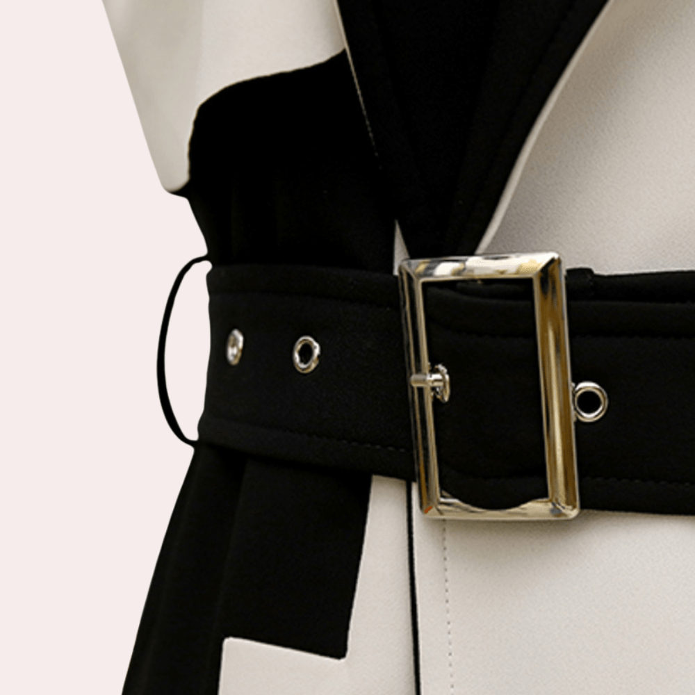 Two-Tone Trench Coat | Belted | Bold and Sophisticated
