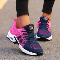 Purple/Blue