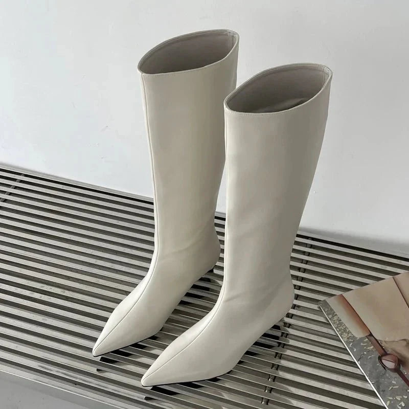 Sleek Pointed-Toe Knee Boots | Minimalist Tall Shaft | Low Heel Sculpted Silhouette