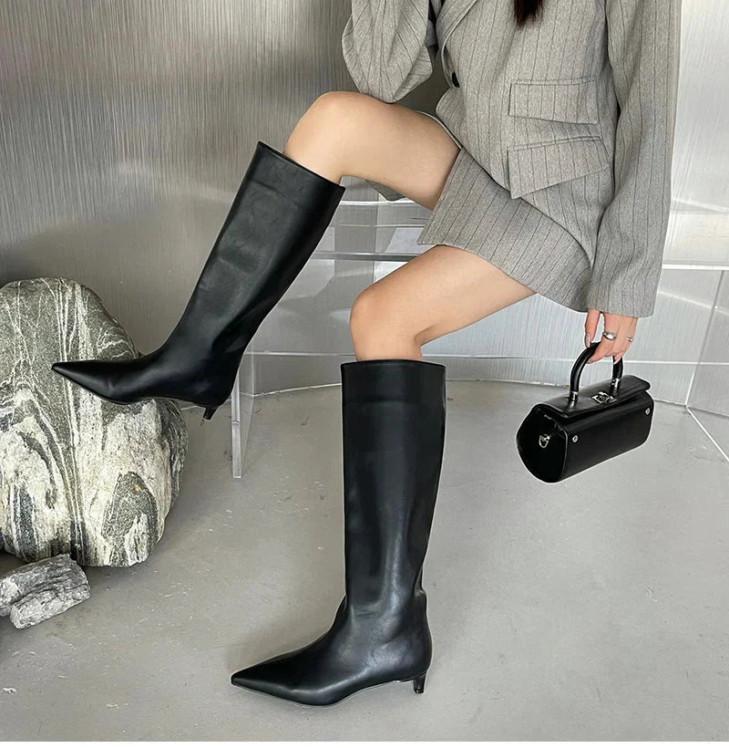 Sleek Pointed-Toe Knee Boots | Minimalist Tall Shaft | Low Heel Sculpted Silhouette