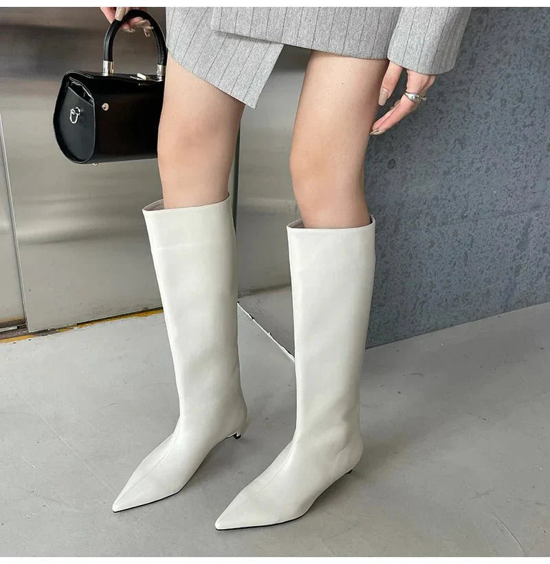 Sleek Pointed-Toe Knee Boots | Minimalist Tall Shaft | Low Heel Sculpted Silhouette