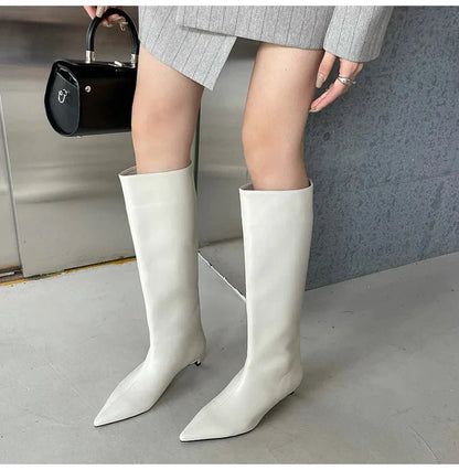 Sleek Pointed-Toe Knee Boots | Minimalist Tall Shaft | Low Heel Sculpted Silhouette