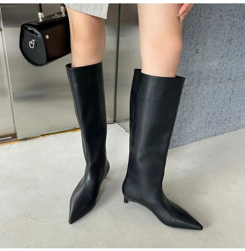 Sleek Pointed-Toe Knee Boots | Minimalist Tall Shaft | Low Heel Sculpted Silhouette