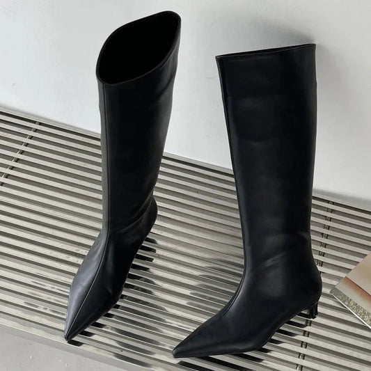 Sleek Pointed-Toe Knee Boots | Minimalist Tall Shaft | Low Heel Sculpted Silhouette